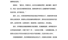 初二抒情散文：看得最远的地方_900字