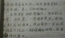 六年级写人作文：夸夸身边的同学_450字