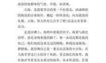 六年级写景作文：我和大海_500字