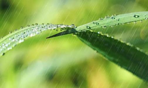 [春天在这里]春雨骤雨_650个单词