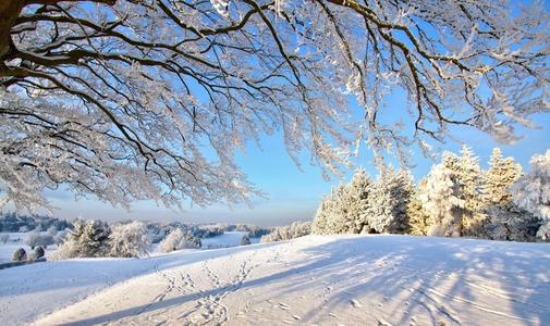 关于雪的成分：冬季snow_600个单词