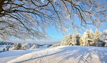 关于雪的作文：冬天的雪_600字