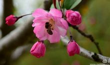 [春天来了]春天的人民公园_650字