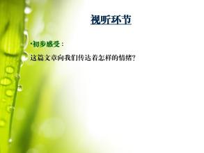 六年级散文：love_1200字