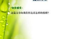 六年级散文：爱_1200字