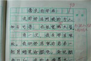 六年级日记：与亲戚同行（2）_400字