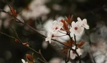 [春天来了]雨之深情_900字