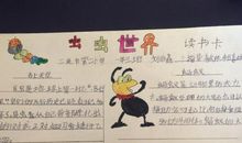 六年级读后感：《虫虫世界》读后感_550字