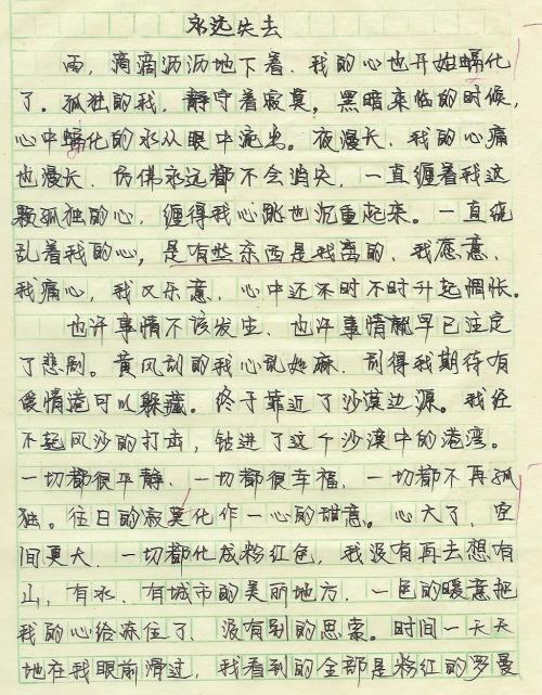 我的作文老师_500字