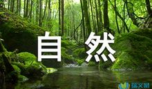 关于探险的作文：山间探险_500字