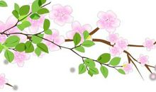 [春天来了]我最喜欢的一个季节_650字