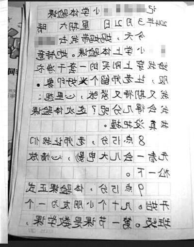 六年级日记：与亲戚同行（3）_450字