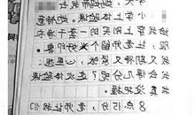 六年级日记：走亲戚（三）_450字