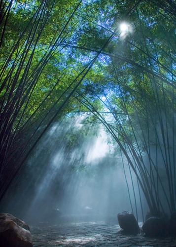 一篇关于探险的文章：热带雨林探险（3）_900字