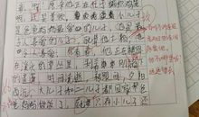 六年级古诗改写:扩写《新龟兔赛跑》_550字