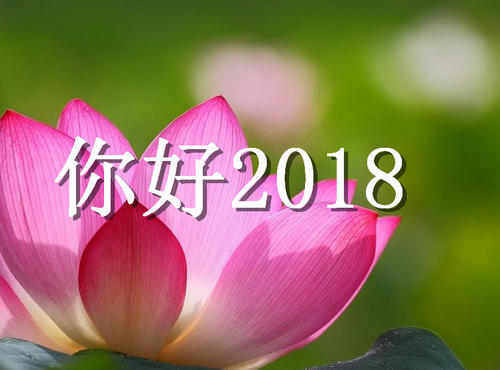 [6月论文]您好，再见。 _900字