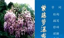 读《紫藤萝瀑布》有感_400字