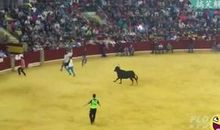 探险的真谛_1200字