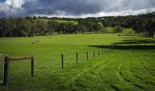 关于大自然的作文：美丽的大自然_1000字