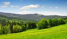 关于大自然的作文：美丽的大自然_1200字