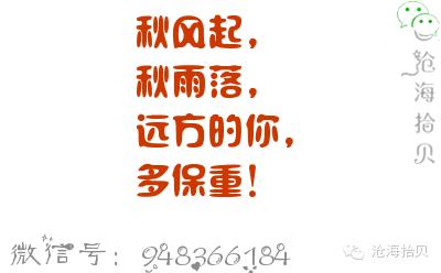 五年级散文：美好的遥远_750字