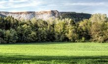 关于大自然的作文：大自然的智慧_900字