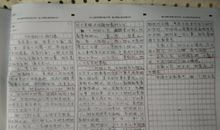 关于雪花的作文_500字