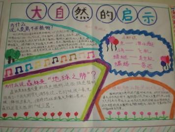 关于自然的构图：自然的灵感_450字