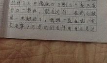 关于雪花的作文_600字