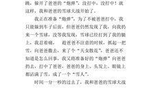 关于雪花的作文_300字