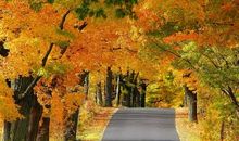 美丽的季节_300字