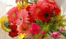 [春天来了]向前的脚步不停息_650字