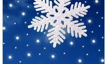 关于雪花的作文：再见雪花_550字