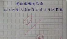 关于雪的作文：美丽的雪花_500字