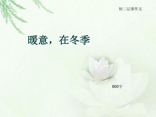 美丽的冬天_800字