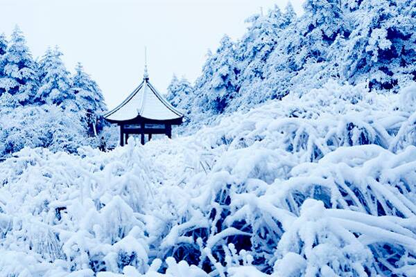 关于雪的成分：雪花在天上飞舞700字