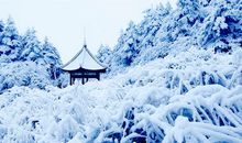 关于雪的作文：漫天纷飞的雪花_700字