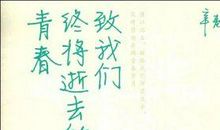 致我们逝去的挚友——阿毛_1500字