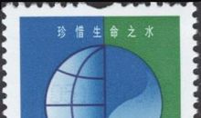 珍惜生命之水_700字