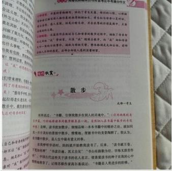 2009眉山市高中入学考试全场作文：体验风雨（2）_900字