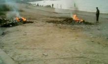 劳动引发的世界大战伤不起_600字