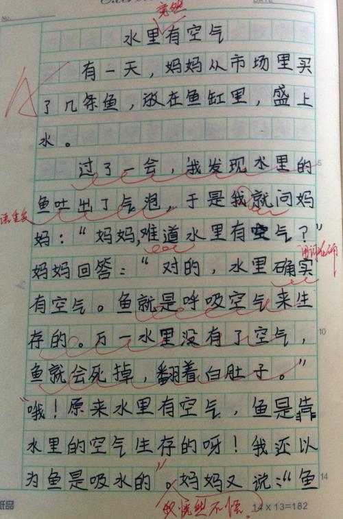 四年级的作文：捏饺子皮_500字