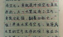 四年级叙事作文：捏饺子皮_500字