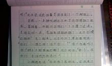 四年级写景作文：苏州园林_350字