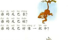 小学一年级“眼睛”主题诗歌作品集_450字