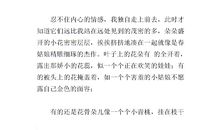 四年级状物作文：无尽团结花_650字