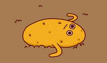 多吃蔬菜身体好_50字