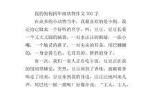 四年级状物作文：小熊猫的自述_600字