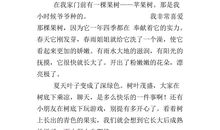 四年级状物作文：野草_650字