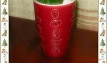 四年级状物作文：风信子_650字